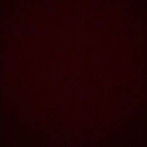 Meet your Posher, Jillian